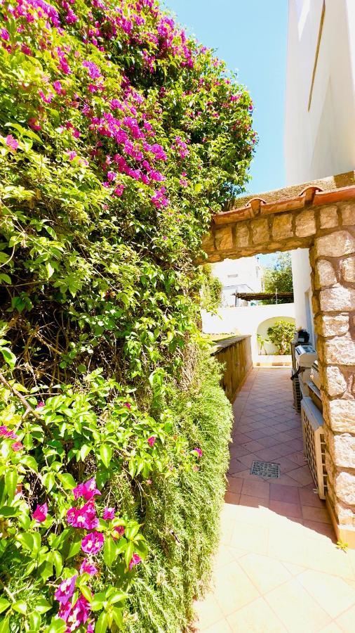 Villa La Zagara By Caprirooms ภายนอก รูปภาพ